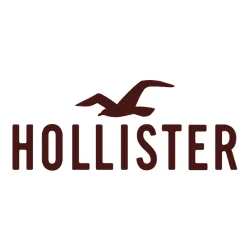 Hollister Track Order Tracking