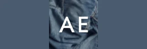 American Eagle Tracking Logo