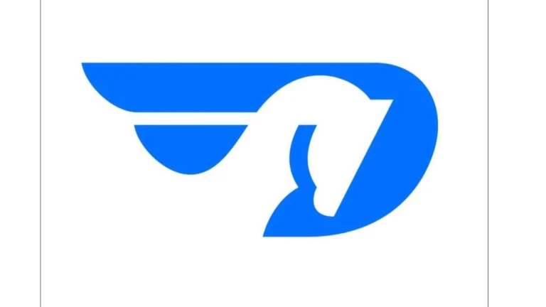 Dallas Marathon Tracking